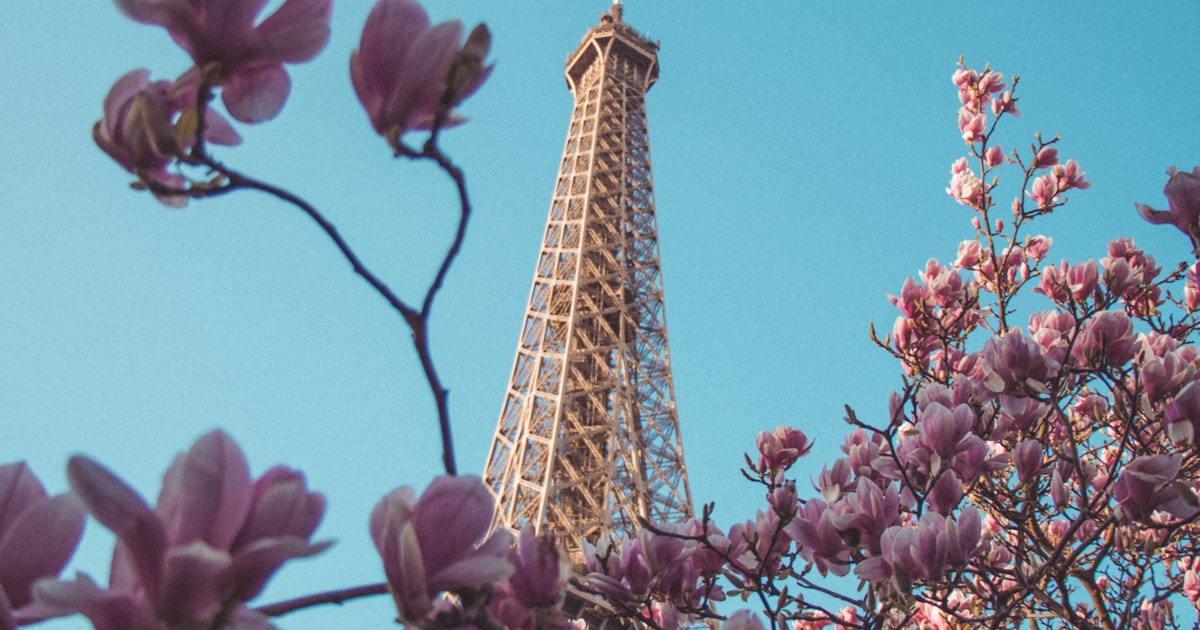 Paris Fashion for Moms: How to Dress Like a Parisienne While Chasing Toddlers