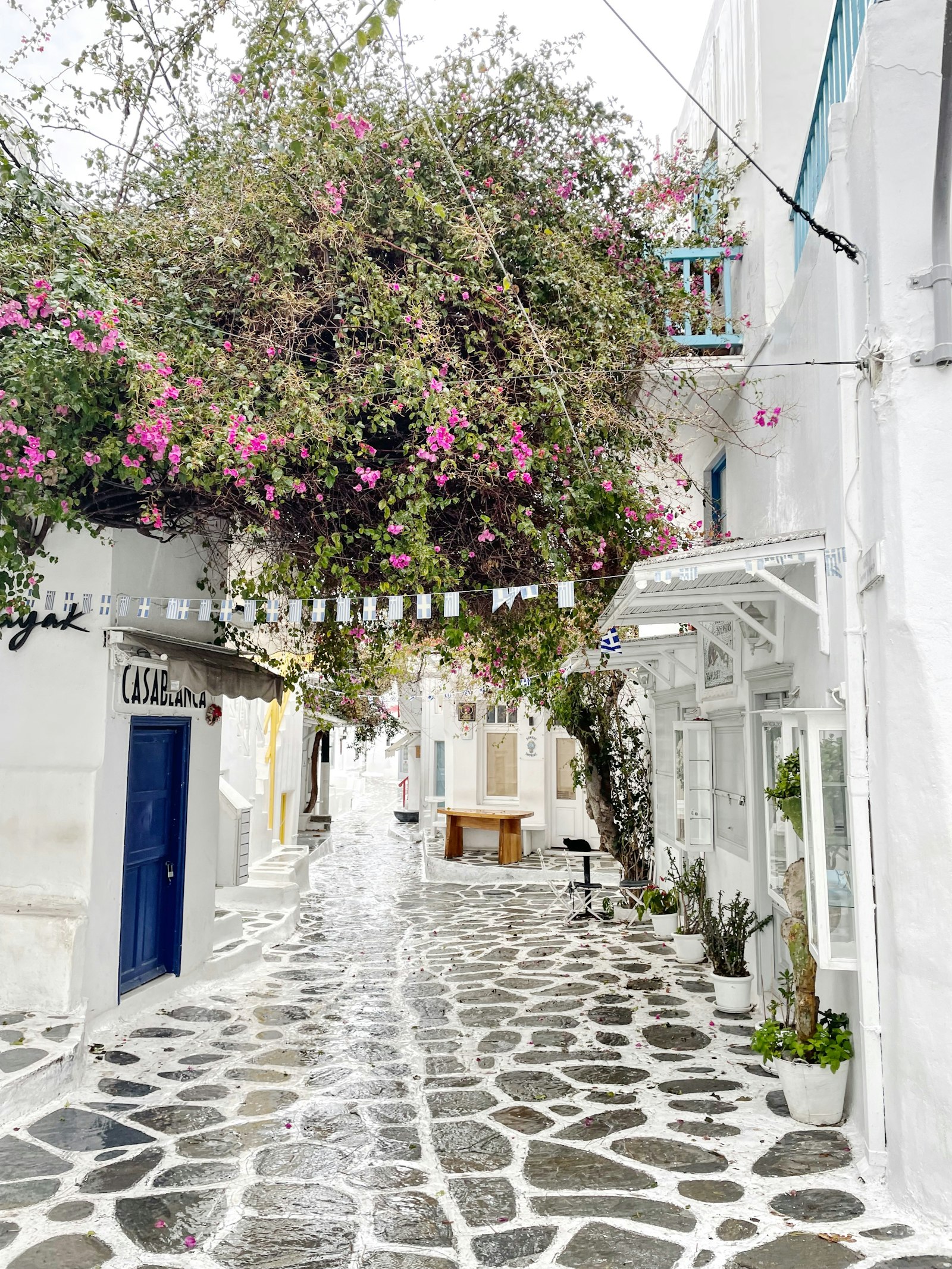 Greek Islands Beyond Santorini: Naxos, Paros, and Crete with Kids