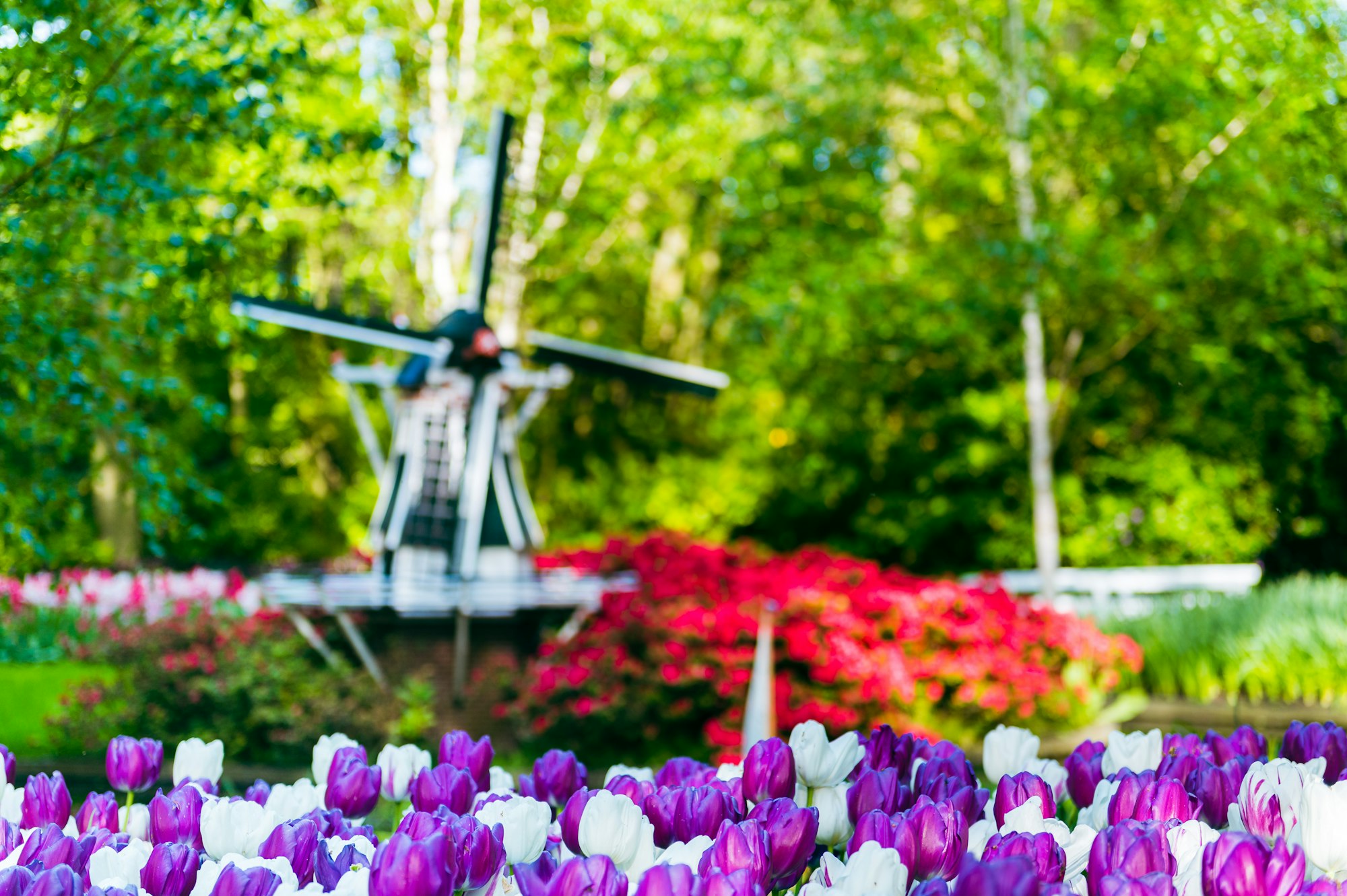 Tulip Festival at Keukenhof with Kids: Best Days, Best Hours, How to Avoid the Crowds