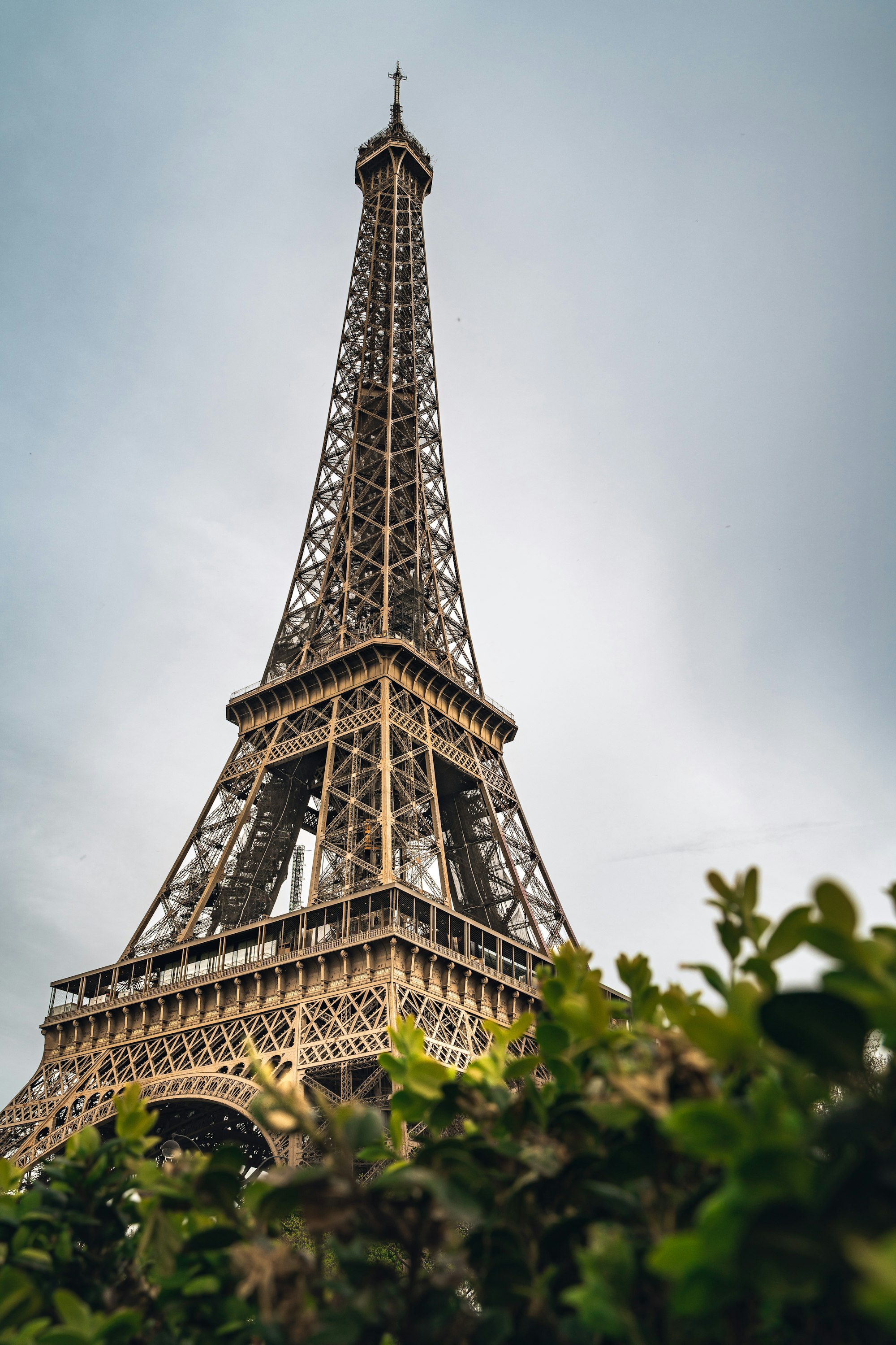 Bad Bunny Paris 2026 at Paris La Défense Arena: Family Travel Guide for the Sold-Out Conejo Malo Show